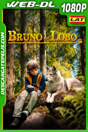 Bruno y El Lobo 2019 ES DUT